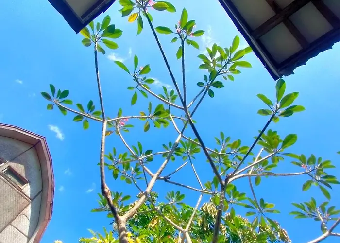 Nature Villa
